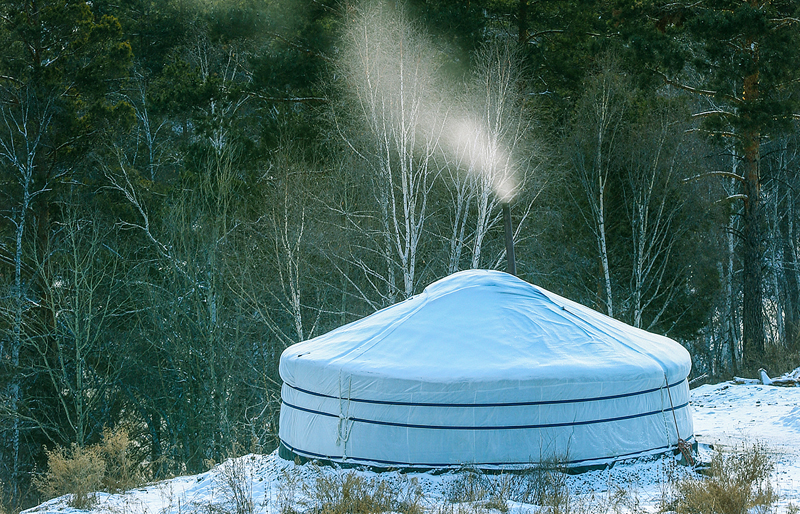 Mongolian winter